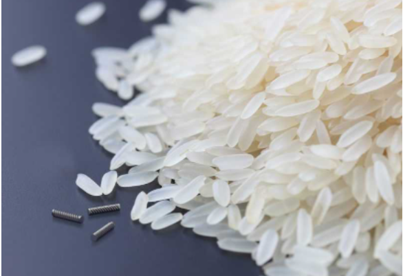 Magseed next to grains of rice