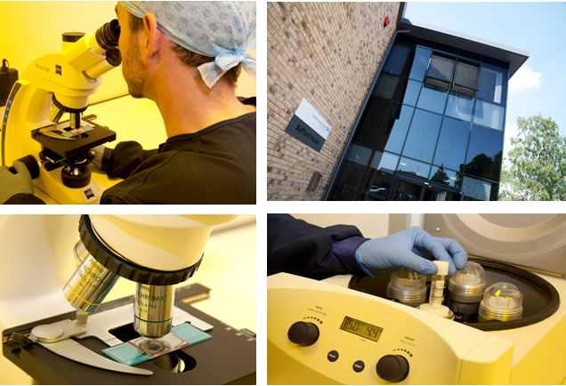 Four separate images - A man looking in to a microscope, the outside of a building signposted 'Kefford House', a close up of a microscope and a test tube being placed into a freezer