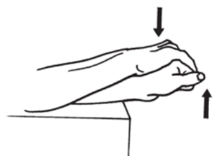 2) Extensor carpi radialis longus & brevis (ECRL & ECRB)