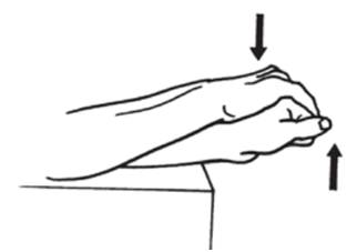 3) Extensor carpi ulnaris (ECU)