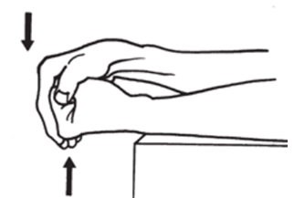 4) Flexor carpi radialis (FCR)