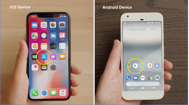 An IOS Device with a circle around the 'App Store' app and an Android device with a circle around the 'Google Play' app
