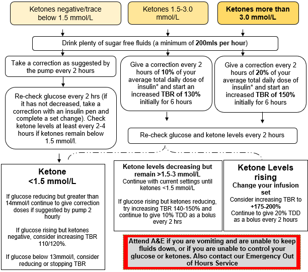 Flowchart outlining actions for different ketone levels, including fluid intake, correction doses, increased temporary basal rates, set changes, monitoring steps, and when to seek urgent care.