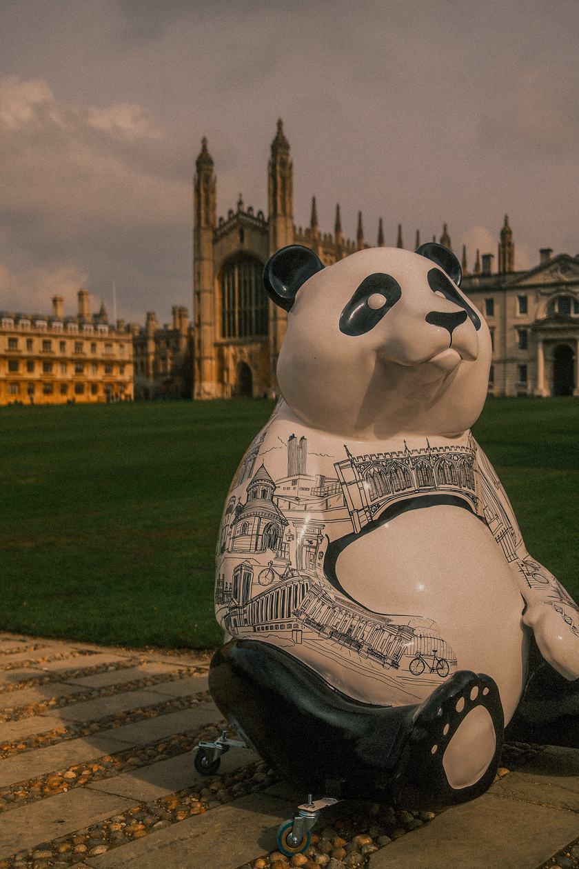 Panda sculpture outside King's College Chapel