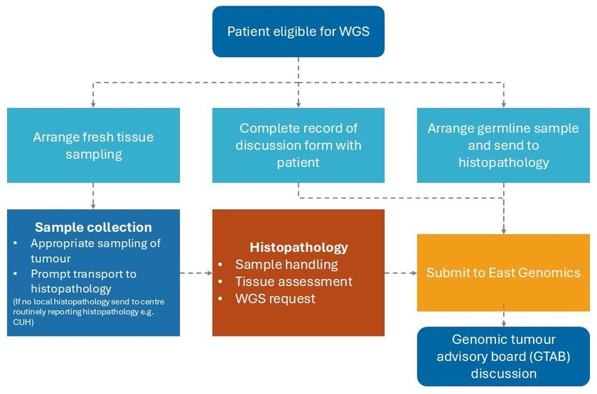 Figure 1: Summary Pathway for Clinician tumour WGS requesting (with colleague responsible and referenced guideline section)
