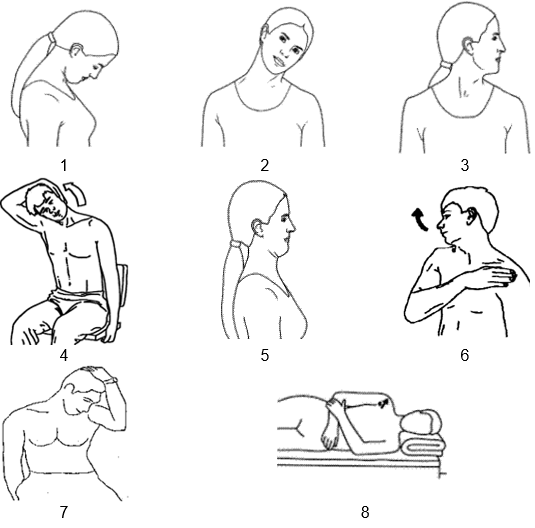 Neck Stretch Diagram