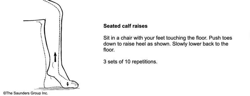 Illustration of leg carrying out seated calf raises. Text: Sit in a chair with your feet touching the floor. Push toes down to raise heel as shown. Slowly lower back to the floor. 3 sets of 10 repititions.