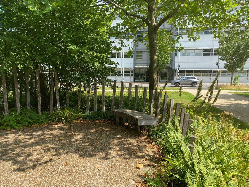 One of the benches in the NHS 70 garden on the Cambridge Biomedical Campus site.