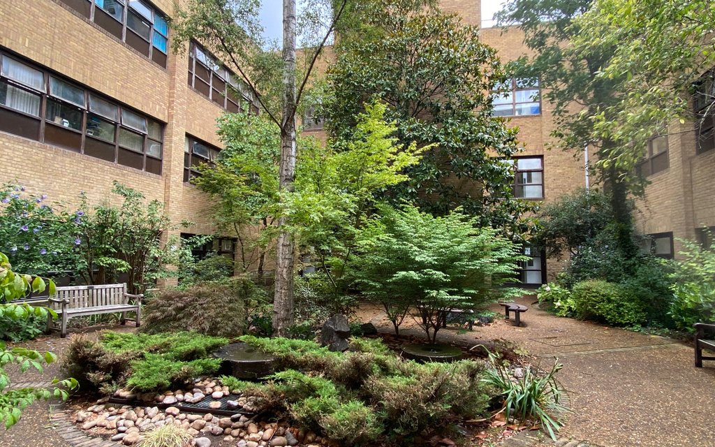 A photo of the Japanese garden