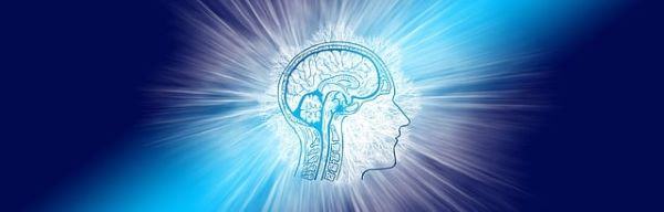 Royalty free brain pic