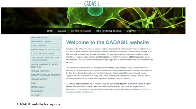 Image of the content of the CADASIL website homepage