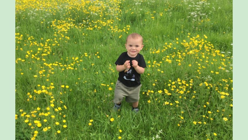 A little boy with dark hair standing in big field of long grass and buttercups on a summer day