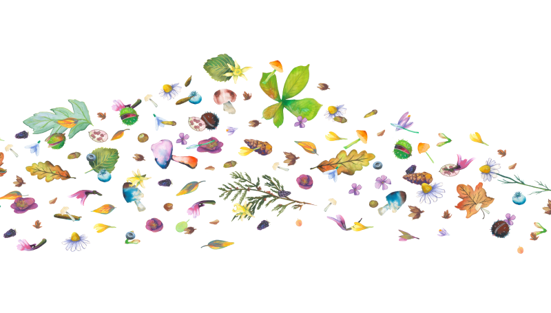 Corridor no background