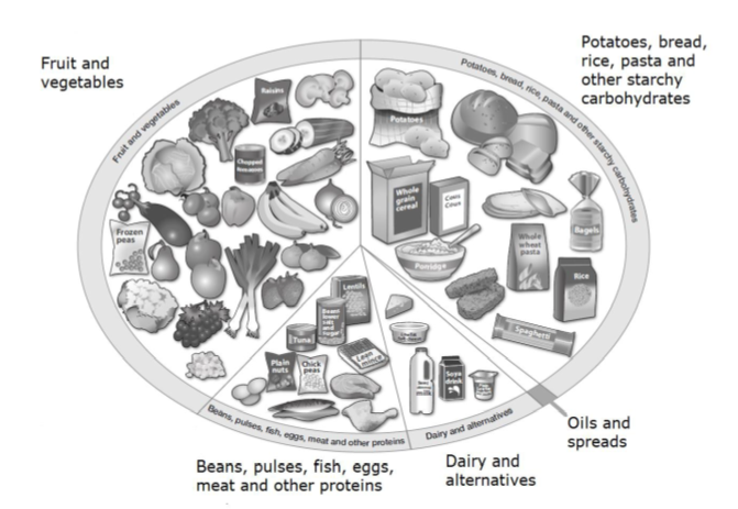 Eatwell guide: proportions of the five food groups