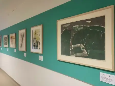 Elizabeth Blackadder artwork on Addenbrooke's corridor wall