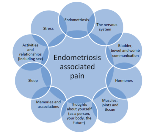 Diagram of factors associated with endometriosis pain going clockwise include: Endometriosis, the nervous system, bladder, bowel and womb communication, hormones, muscles, joints and tissue, thoughts about yourself (as a person, your body, the future), me