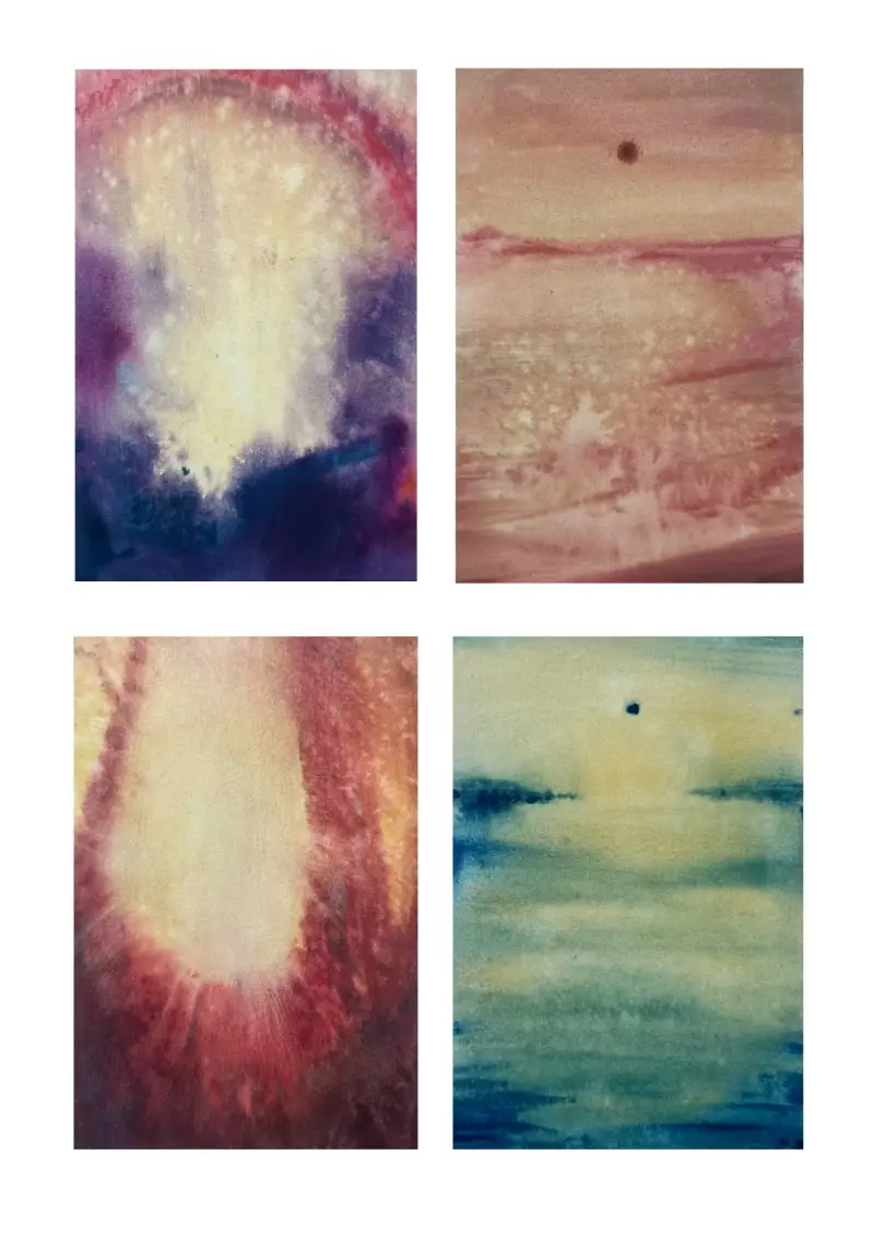 Jennifer Steele Evans artworks