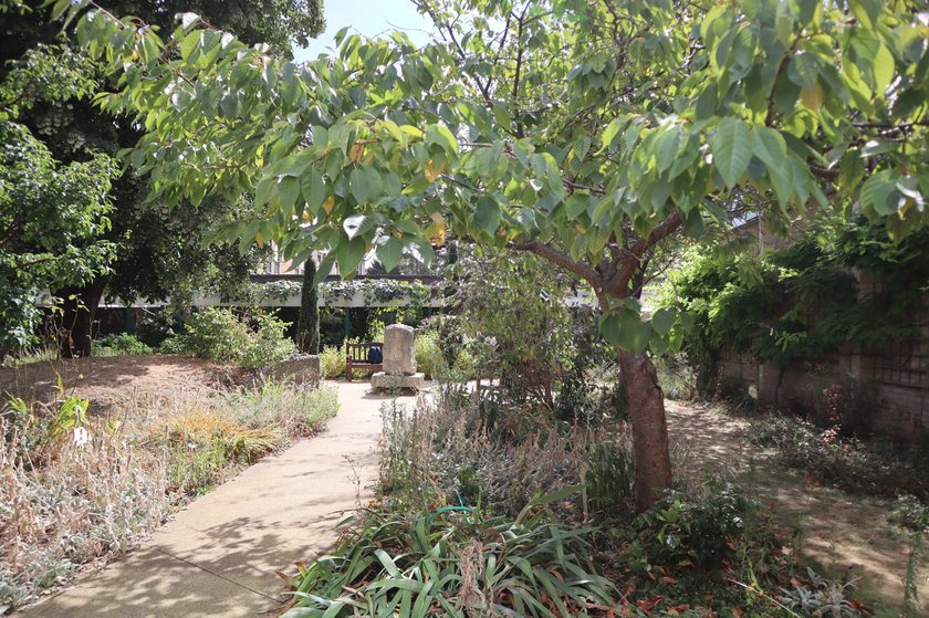 A photo of the Jubilee garden