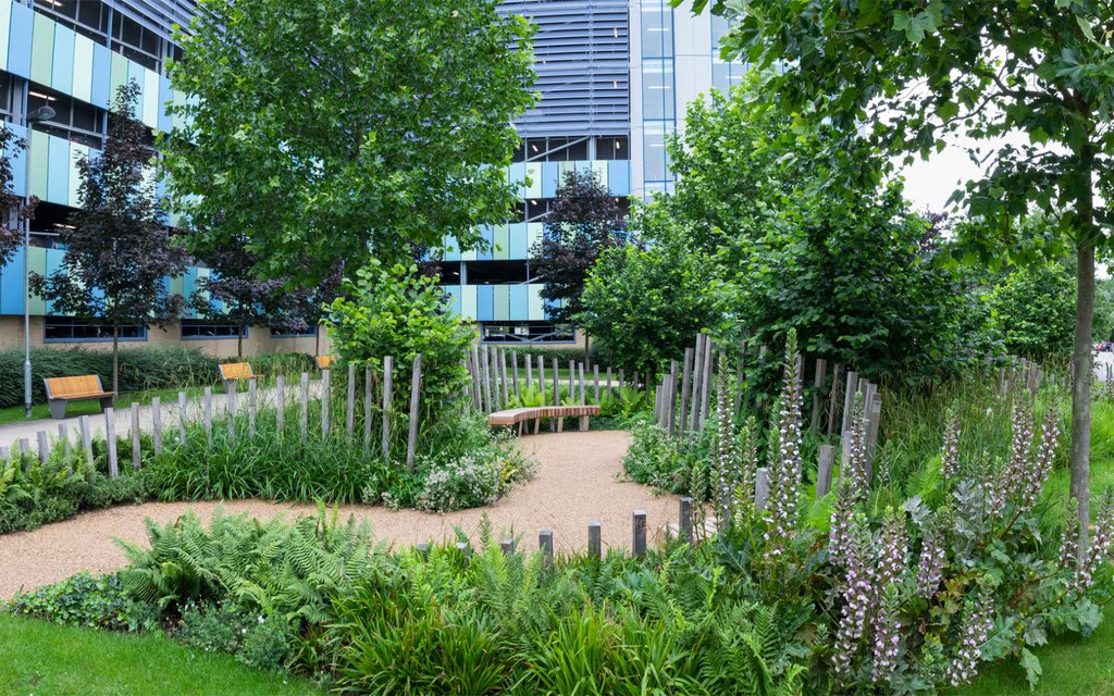 A wide shot photo of the NHS 70 garden.