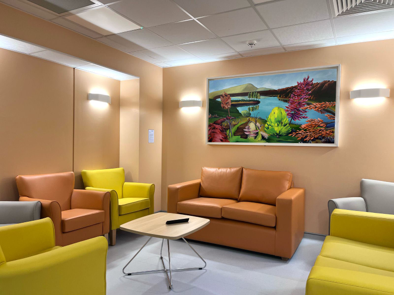 NCCU - Gathering Place by Monica Perez Vega installed in the family room