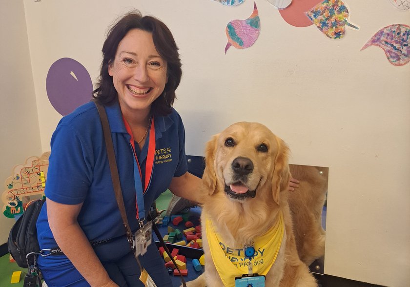 Golden retriever sitting next to Pets As Therapy volunteer