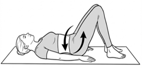 Glute bridge exercise, lifting the hips off the floor while lying on the back with knees bent.