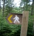 Wooden trail sign in a forest displaying a yellow left-pointing arrow and a white pedestrian symbol, indicating a walking route to the left.