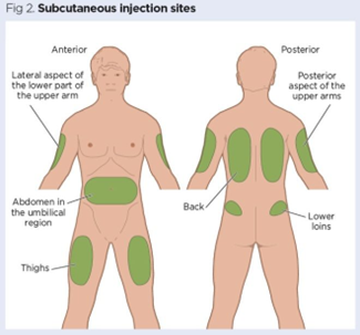 Medical illustration of subcutaneous injection sites on the anterior and posterior body. Highlighted areas include the outer upper arms, abdomen around the umbilical region, thighs, back, and lower loins.