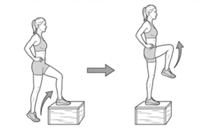Step-up with knee raise exercise, stepping onto a platform and lifting the opposite knee to hip height.