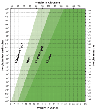 BMI chart