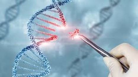 Close-up illustration of a DNA double helix being edited, with a gloved hand using tweezers to interact with a glowing, highlighted section of the strand, symbolising gene therapy or genetic modification. The background shows blurred DNA structures.