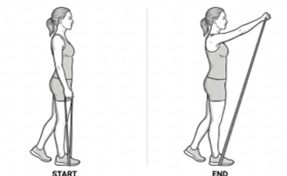 Resistance band shoulder raise exercise, lifting both arms forward from the thighs to shoulder height while standing on a resistance band