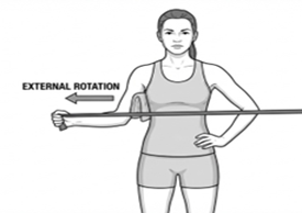 Resistance band shoulder external rotation exercise, rotating the forearm outward while keeping the elbow bent and tucked at the side.