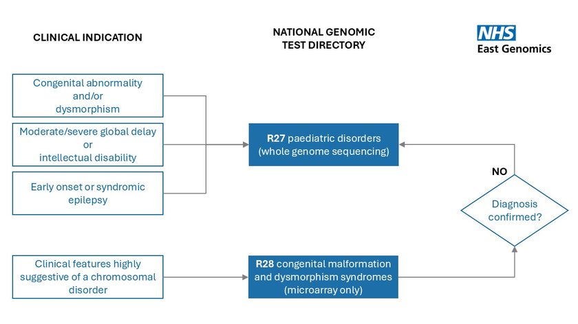 Flowchart indicating that patients with developmental disorders should primarily be considered for test R27 except where there is clear suspicion of a chromosomal disorder