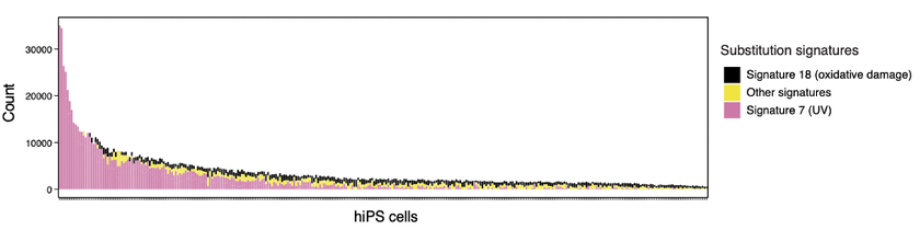 Mutation patterns in human IPS cells that are the repository of human IPSCs (HipSci)