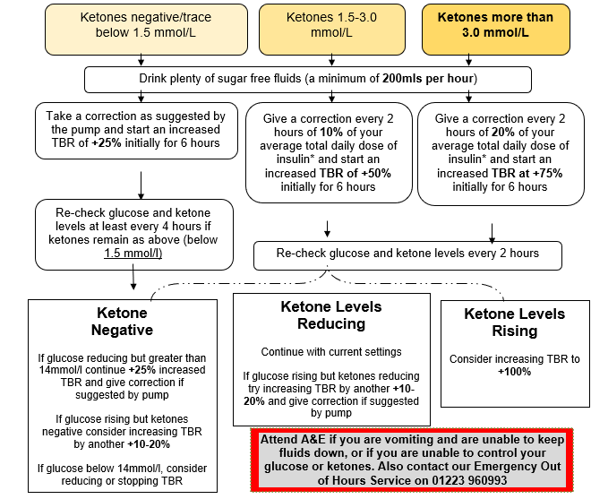 Flowchart for managing high blood glucose and ketone levels with an insulin pump: check glucose and ketone levels, give correction boluses, recheck levels, and follow sick day rules.
