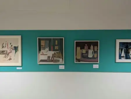 Stella Rankin artwork on Addenbrooke's corridor wall