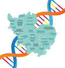 Clinical Genetics Services map