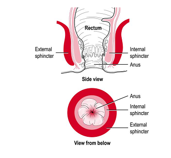 Bowel Control CUH Bowel Control CUH