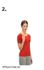 Image of person bending right elbow