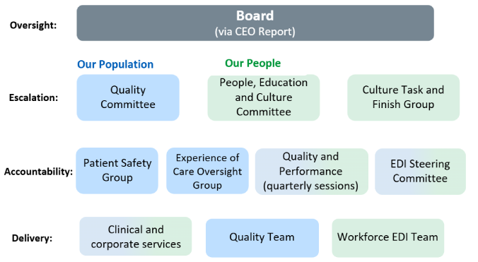 Governance diagram showing EDI oversight by the Board, with committees and teams responsible for escalation, accountability and delivery across population and workforce priorities.