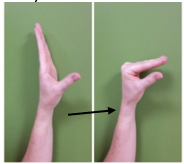 Left hand vertical with thumb pointing forwards (left) and fingers down like a beak (right)