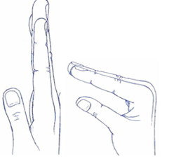 Illustration of right hand with fingers straight, then bent
