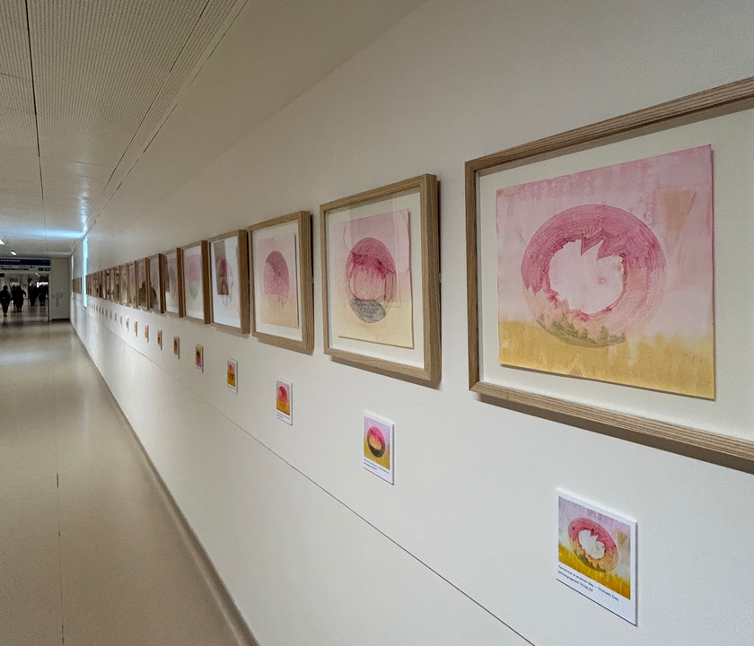 View of the artworks installed in The Addenbrooke's Gallery