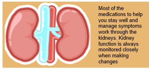 Illustration of the kidneys. Text: most of the medications to help you stay well and manage symptoms work through the kidneys. Kidney function is always monitored closely when making changes.