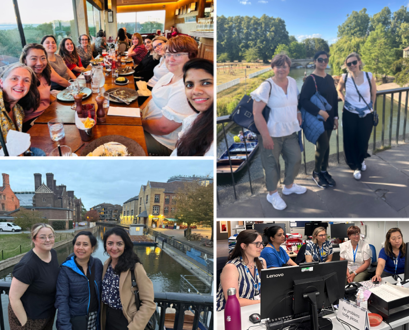 Collage of three scenes: group dining at a restaurant, team working at computers in an office, and three people standing by a riverside with boats and trees in the background.