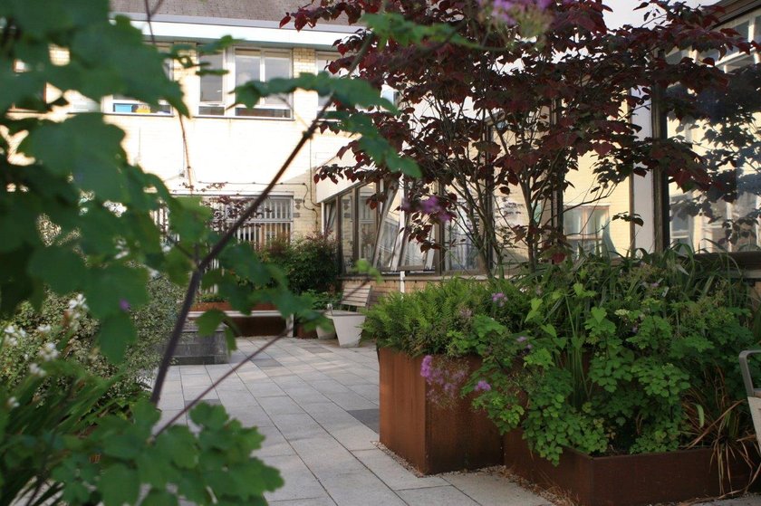 a photo of the outpatients garden