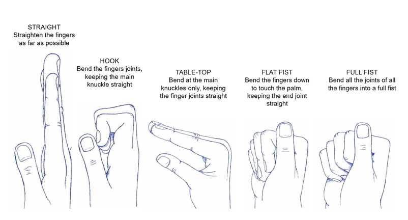 Illustrations of right hand doing the exercises that are instructed below