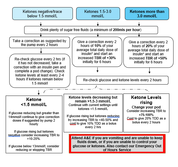 Sick Day Rules Flow Chart