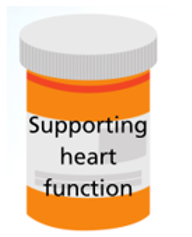Illustration on a medicines container with 'supporting heart function' written on the front